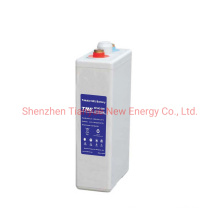 Lead Acid 2V 200ah Deep Cycle Opzv Storage Battery for Solar/Inverter